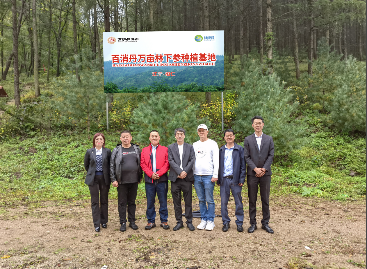 百消丹集团董事长佘中生赴辽宁林下参种植基地、河北生产基地考察调研